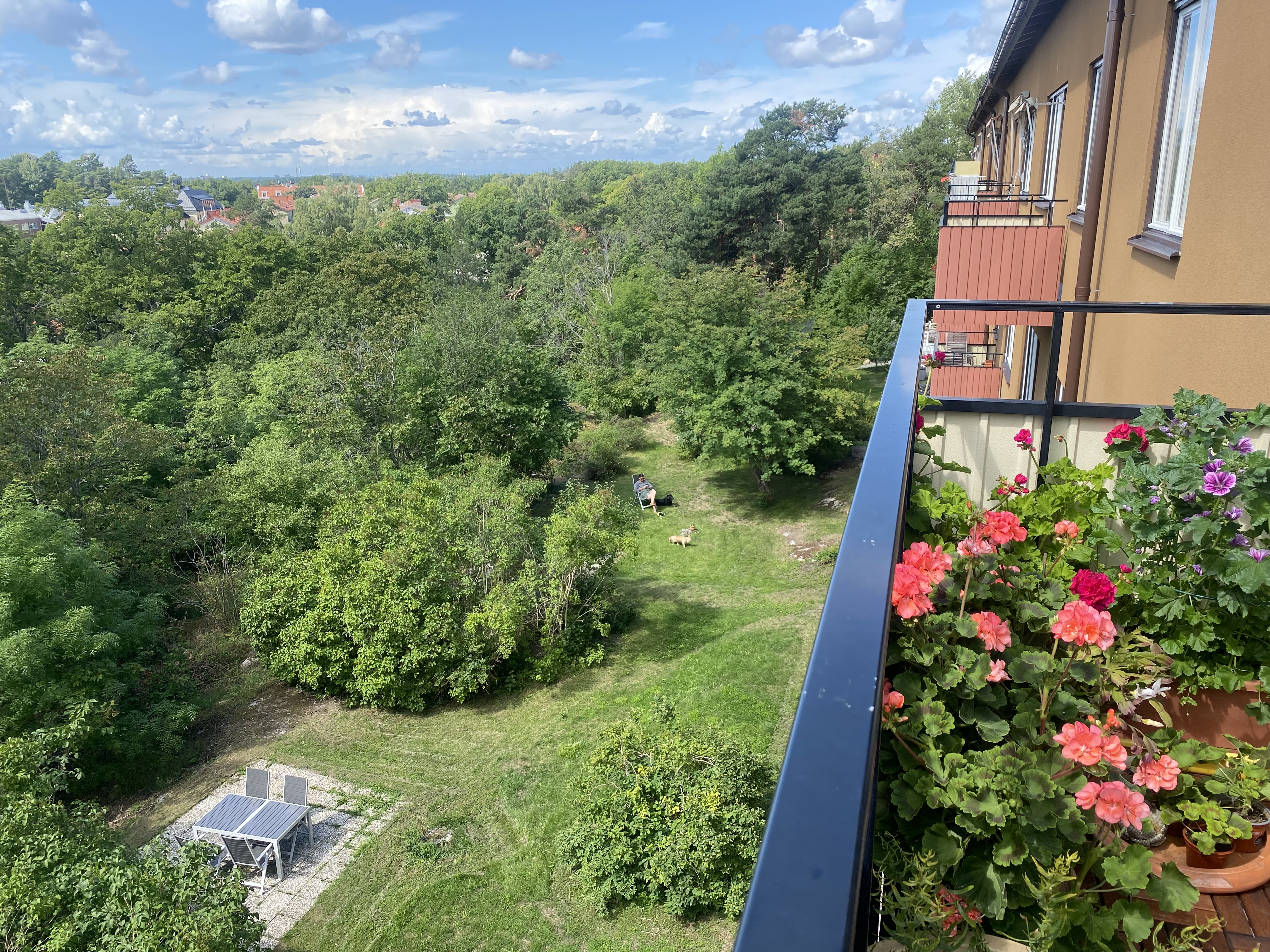 The building's garden